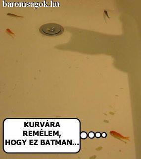 Fura ez az árnyék Lui...