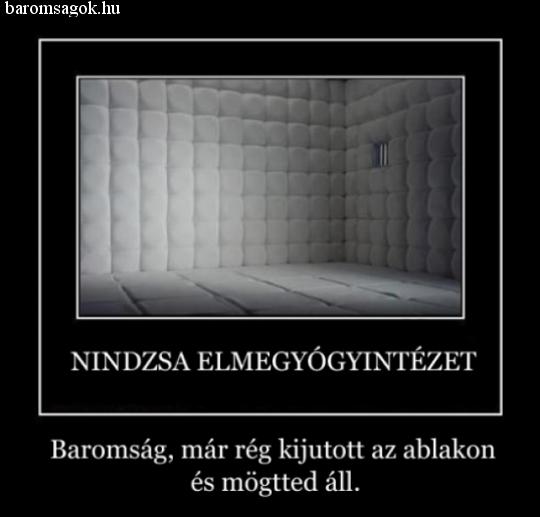 Keresd a ninját...