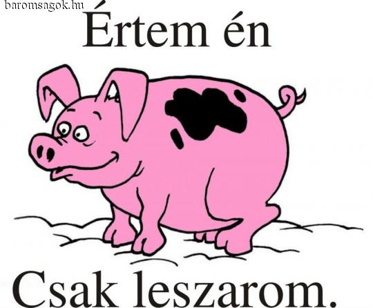 Értem én
