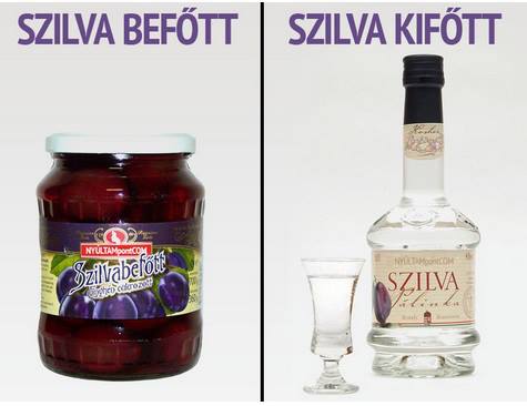 Szilva főtt