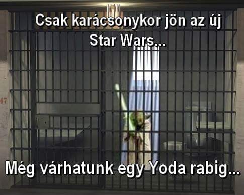 Yoda rabig