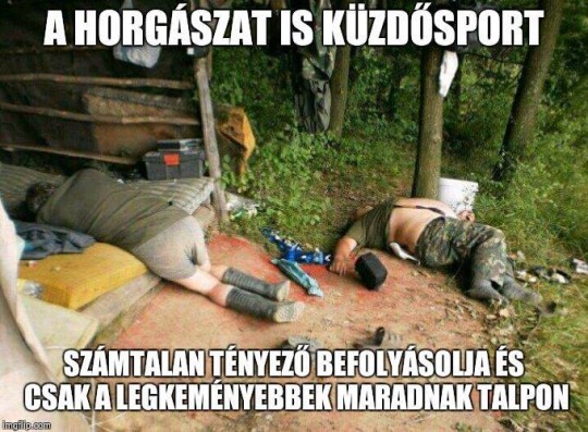 Küzdősport